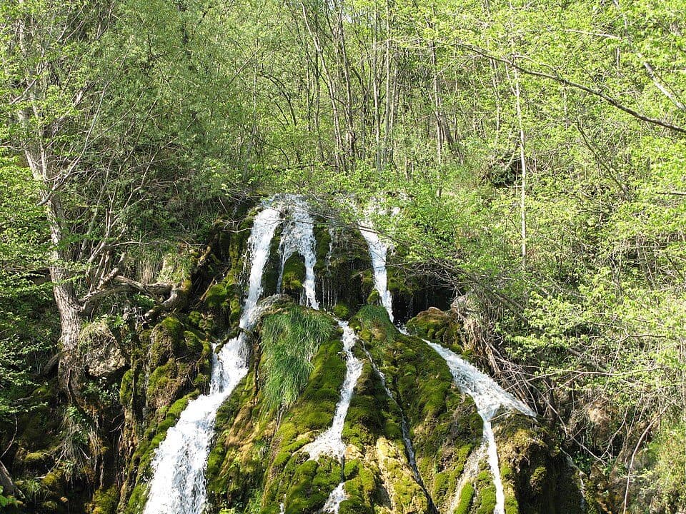Nežica — zdjęcie 2