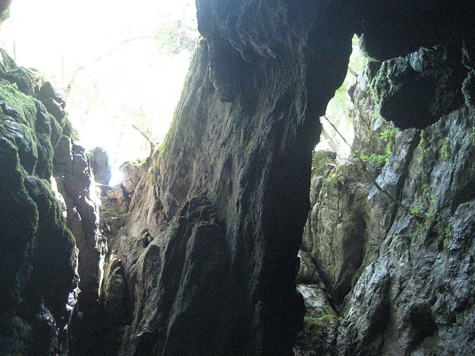 Park-šuma Golubinjak — zdjęcie 3