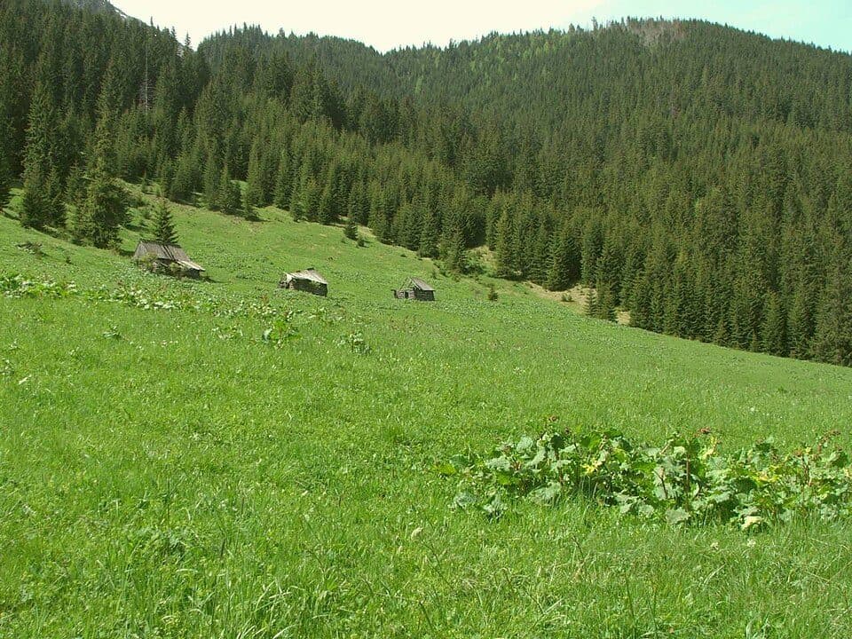 Iwaniacka Przełęcz - Hala Ornak