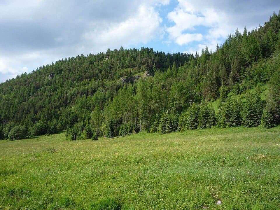 Odejście na Nosalową Przełęcz - Przełęcz między Kopami