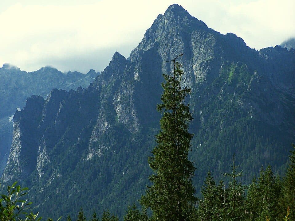 Mlynár (vrch)