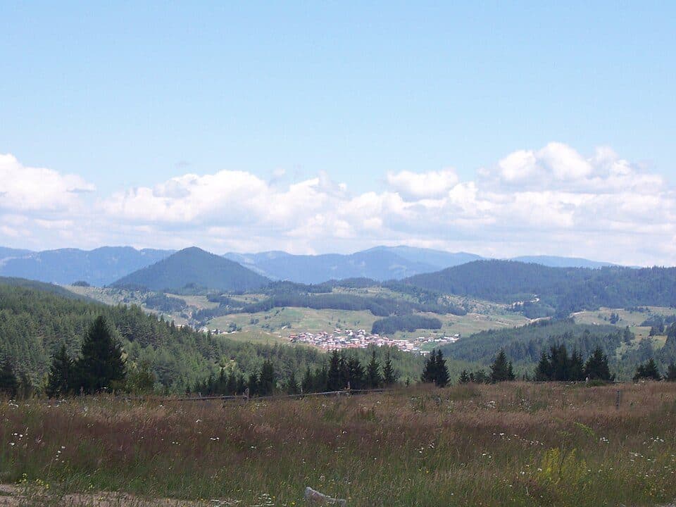 Виденица