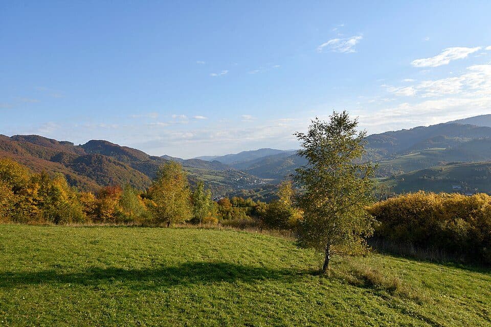 Szlakiem Leśnych