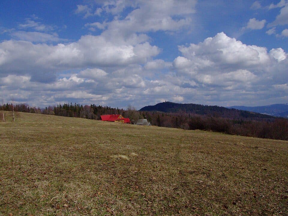 Polana Surówki