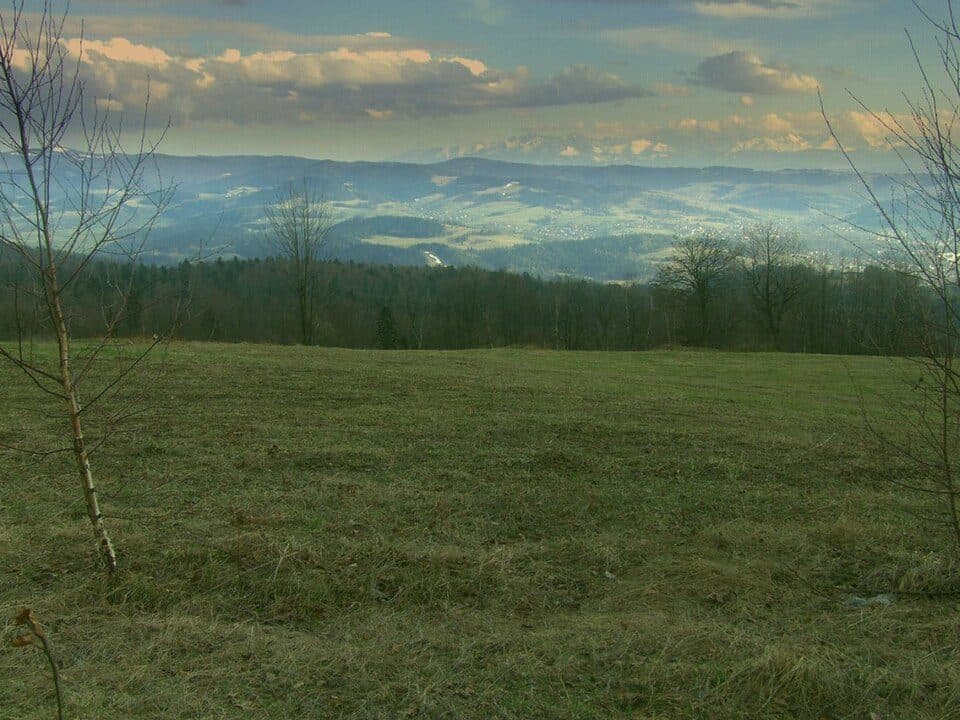 Polana Surówki — zdjęcie 2
