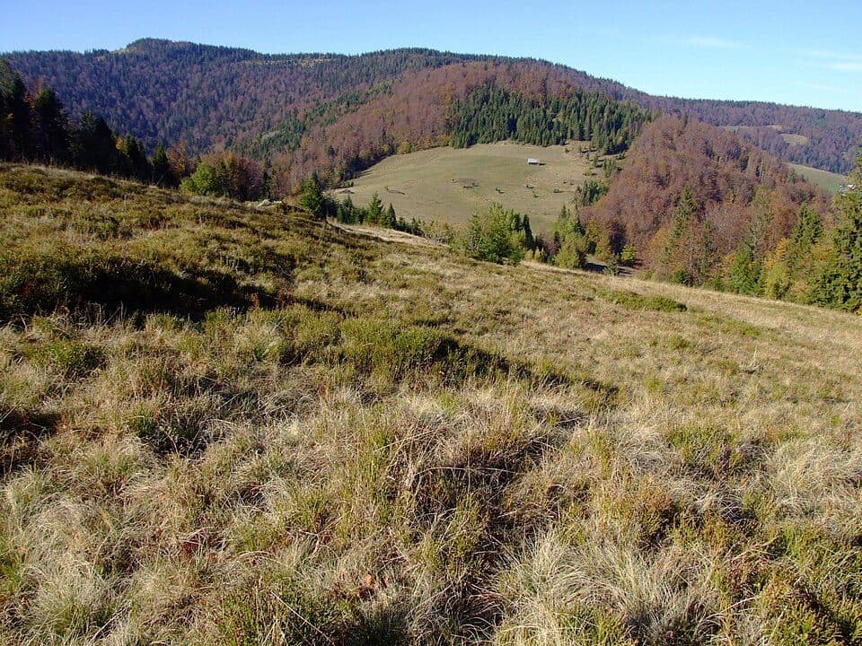 Grywałd - Polana Gabrowska