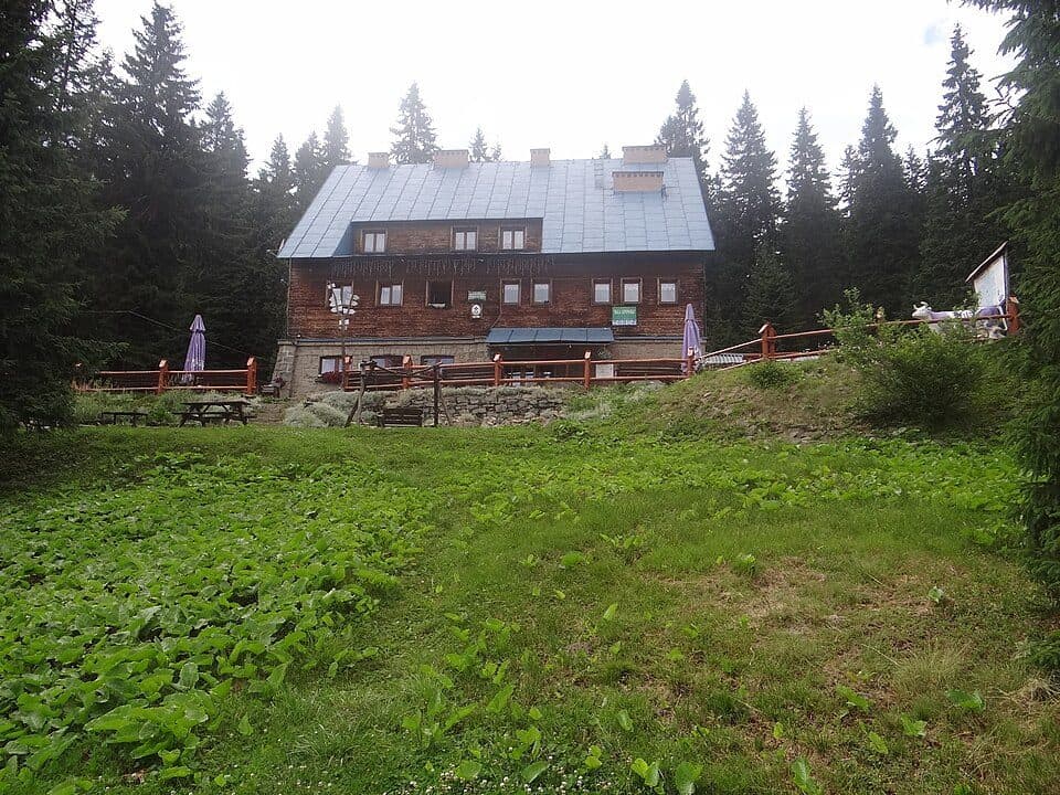 Przełęcz Bory Orawskie – Hala Lipowska