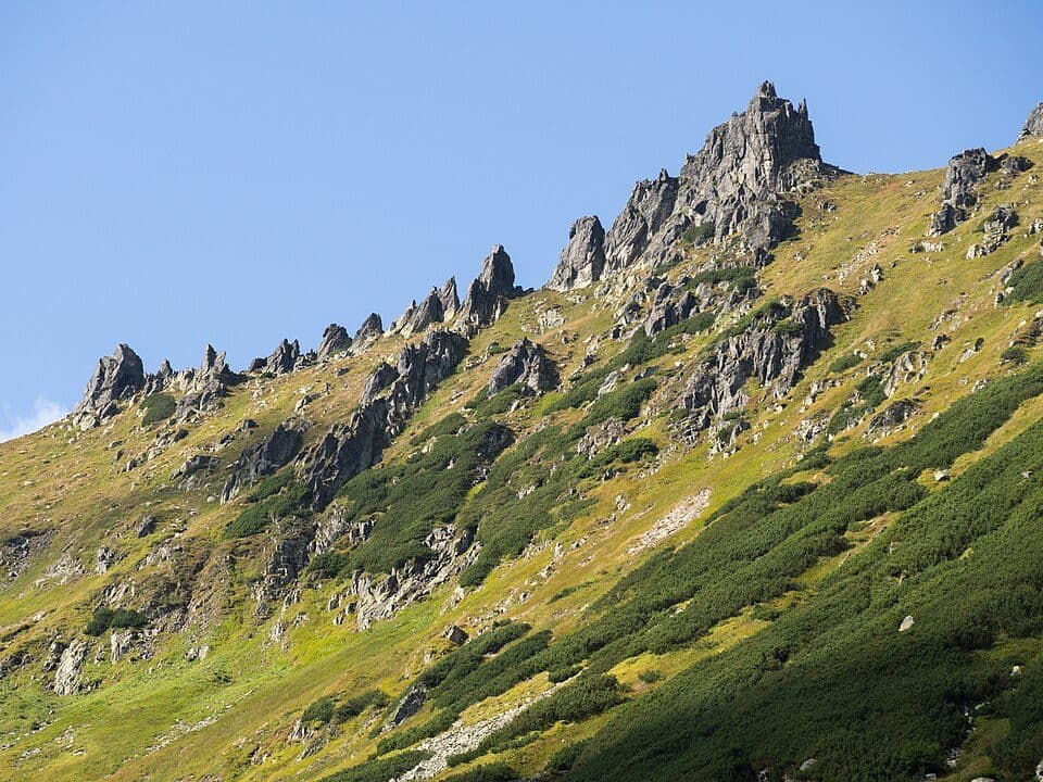 Owcze Turniczki — zdjęcie 1