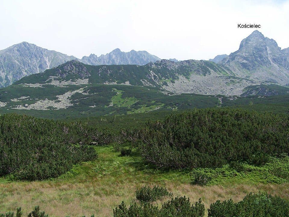 Kasprowy Wierch – Liliowe