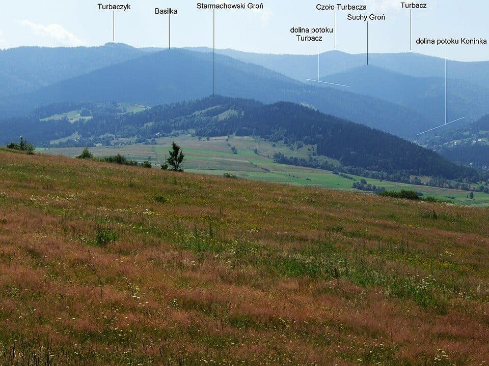 Szlak spacerowy