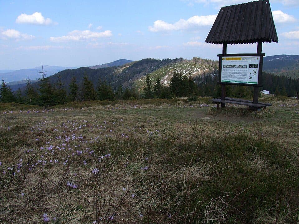 Szczebel - Turbacz - Kowaniec