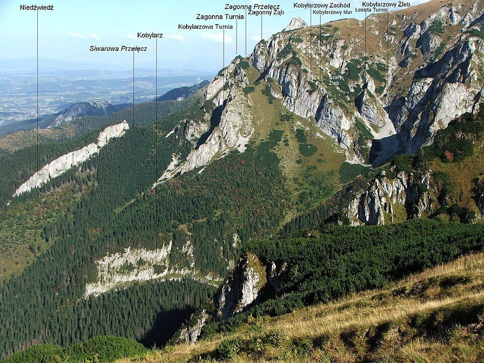 Polana Strążyska - Przełęcz w Grzybowcu
