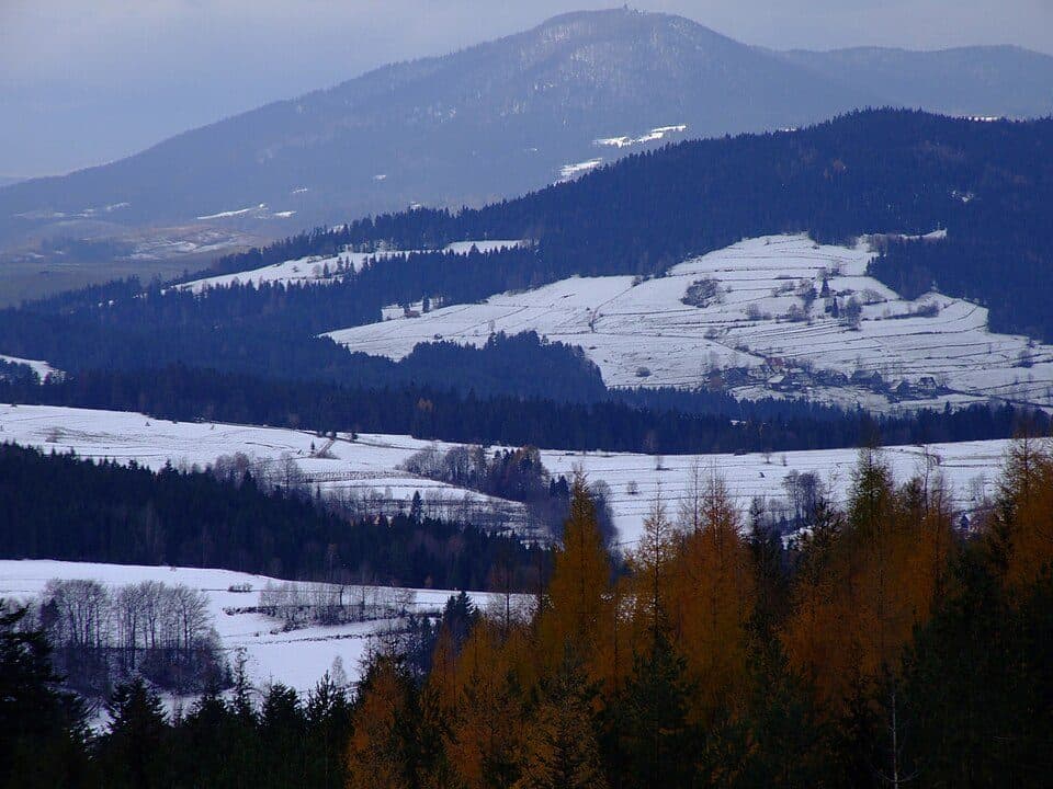 Brzeźnica - Kacwin