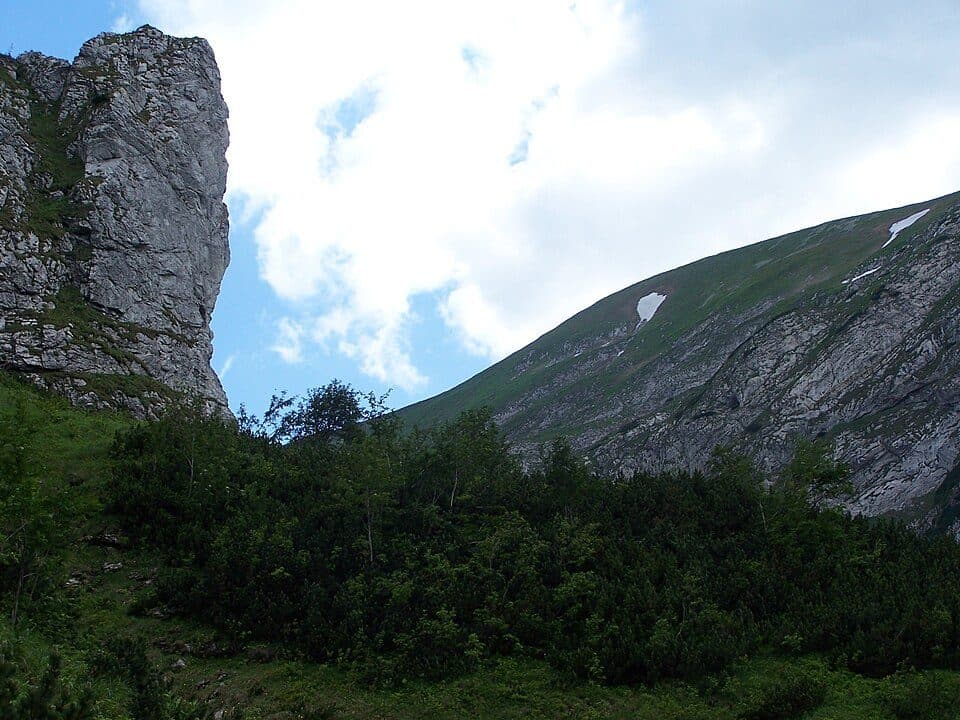 Przełęcz w Grzybowcu - Polana Strążyska