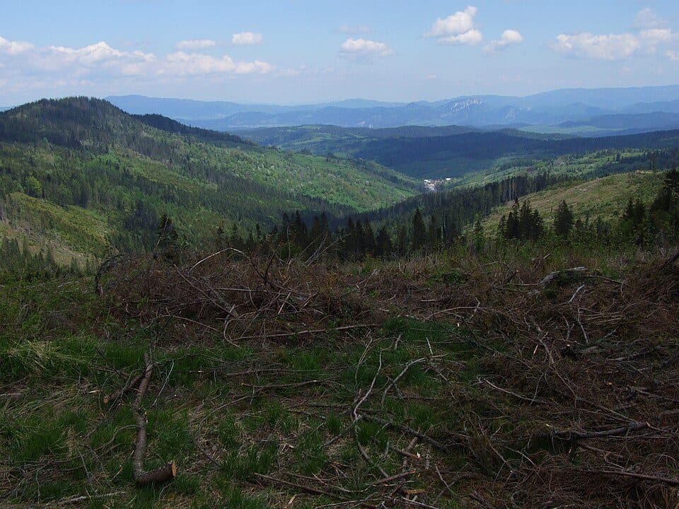 Slodičovský vrch — fotografia 2