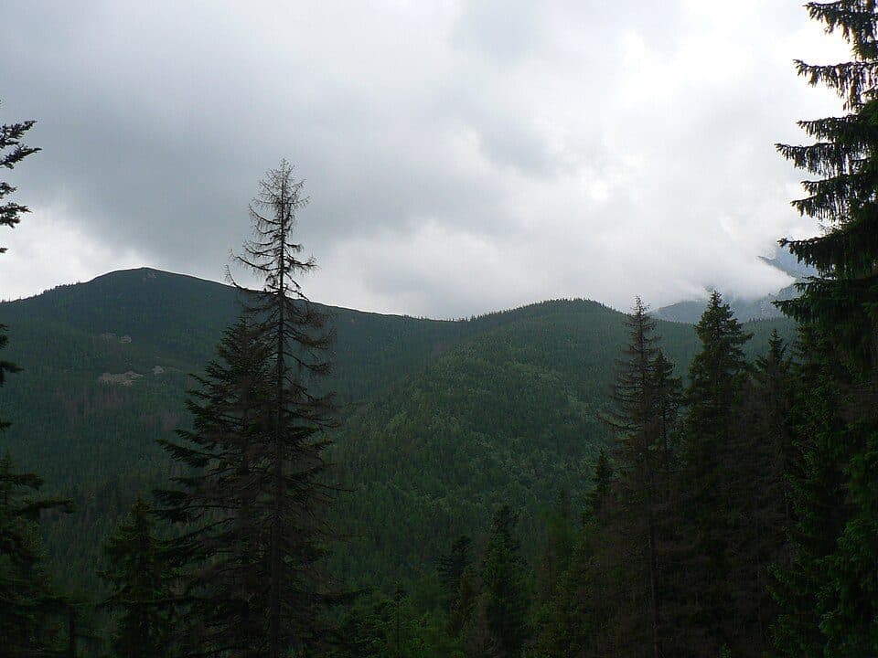 Стежки (Stežky) — фото 2