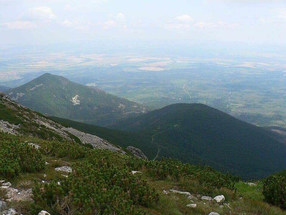Стежки (Stežky) — фото 3
