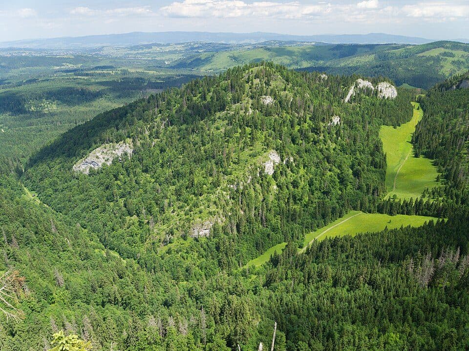Kiczora (Tatry Bielskie)
