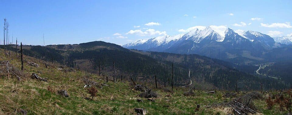 Rzepisko (Magura Spiska)