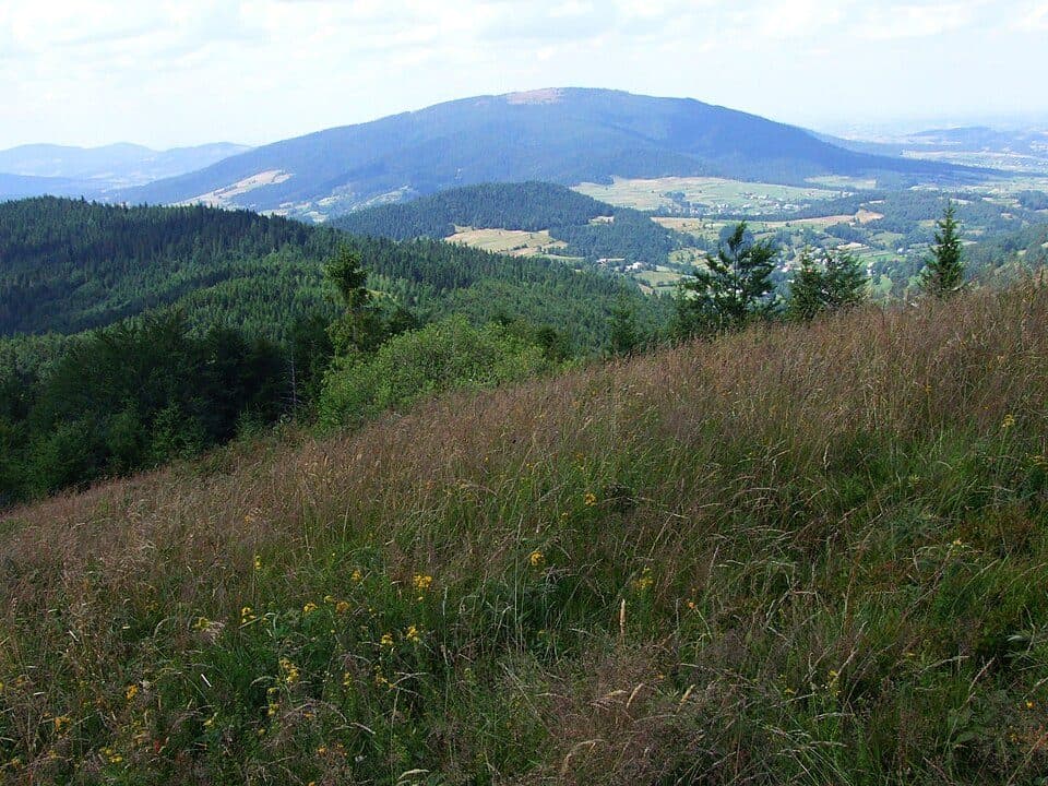 Mszana Dolna - Ćwilin
