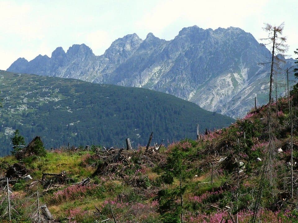 Škutnastá poľana - Štrba, stanica
