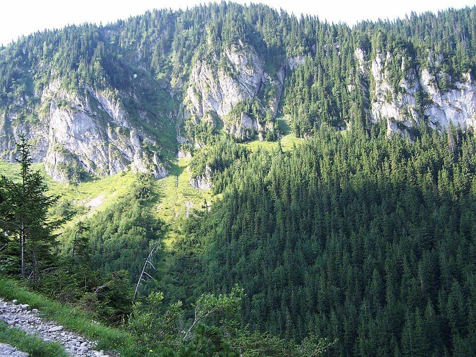 Kuźnice - Przełęcz między Kopami