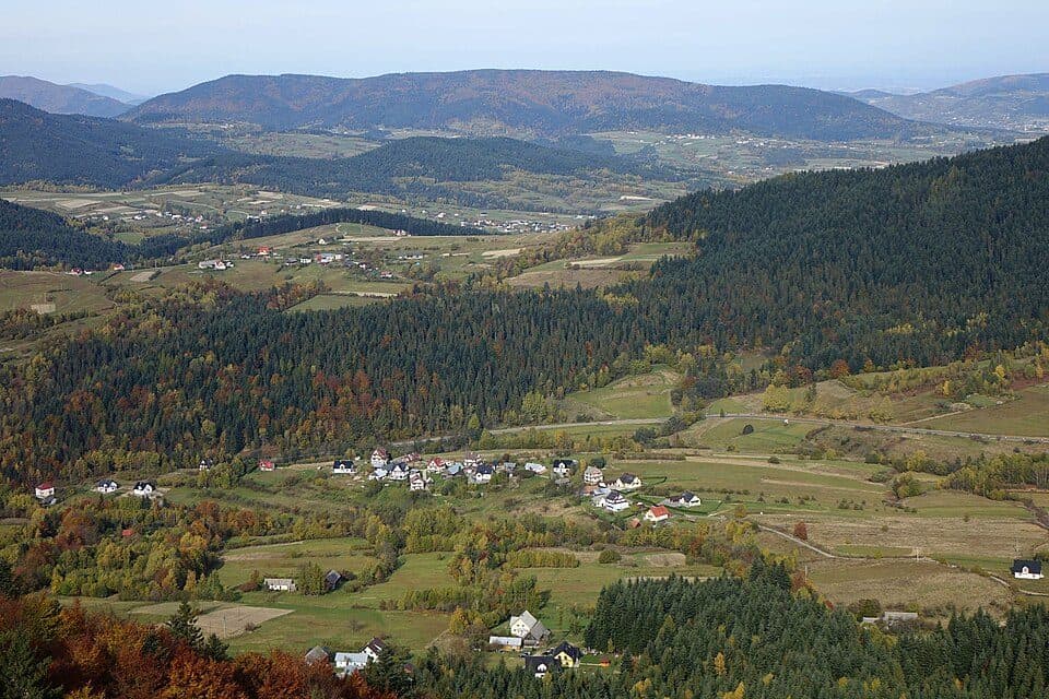 Łopień — fotografia 3