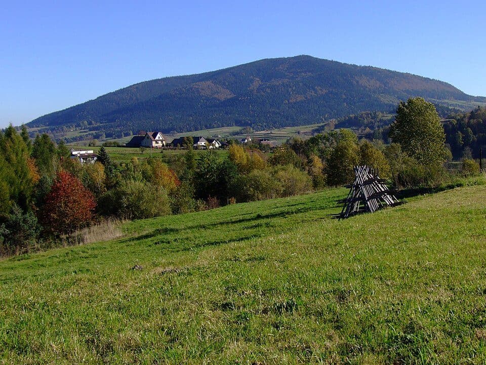 Łopień