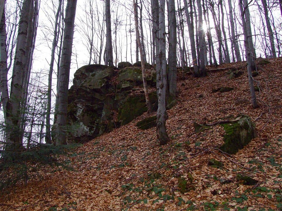 Lubień - Lubogoszcz
