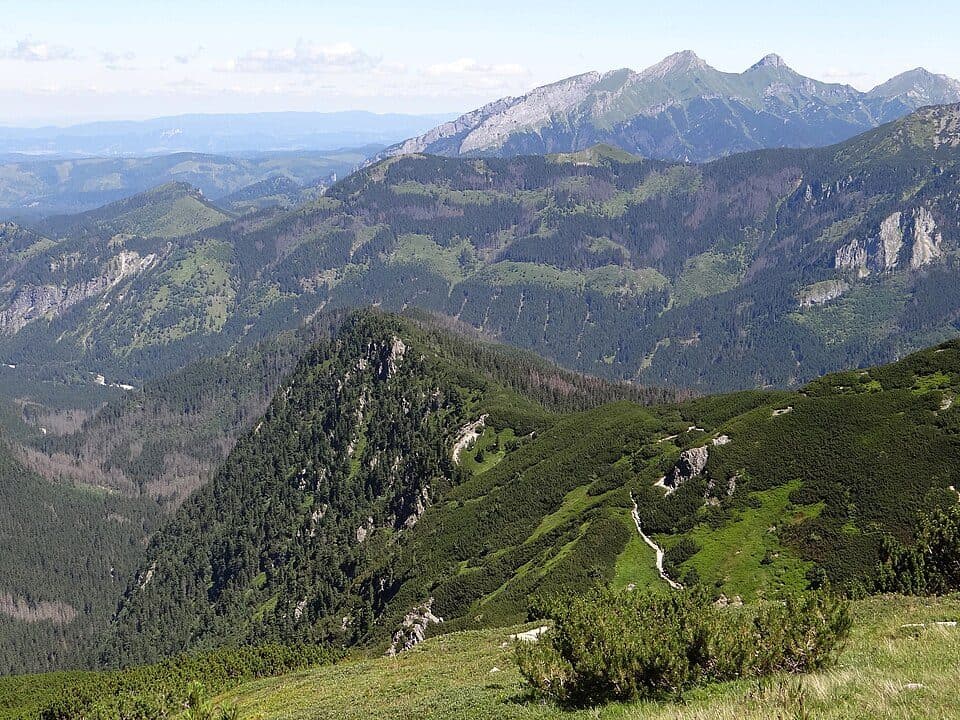 Czuba nad Uboczą — zdjęcie 1