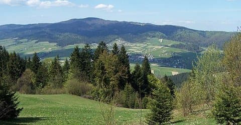 Gorce