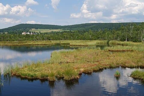 Szumawa