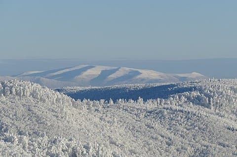 Połonina Równa