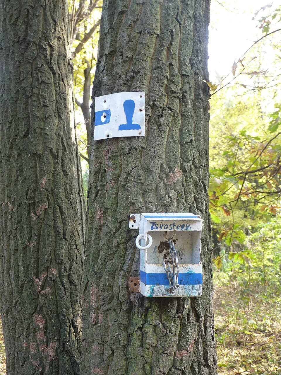 K, OKT — zdjęcie 2
