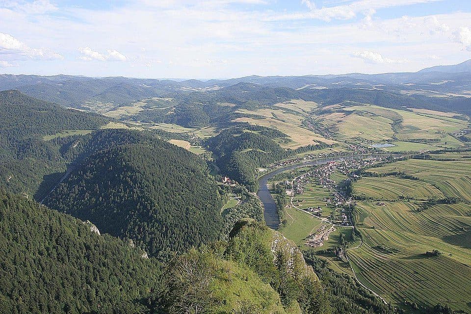 Tarnów - Wielki Rogacz