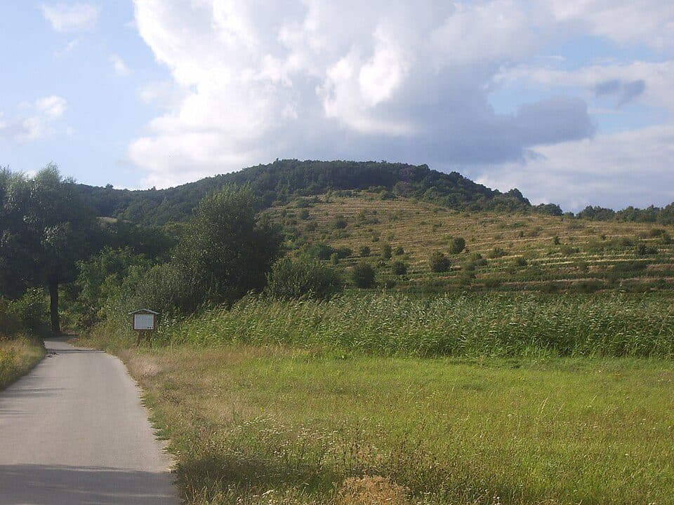 Vinohradnícky náučný chodník — zdjęcie 2