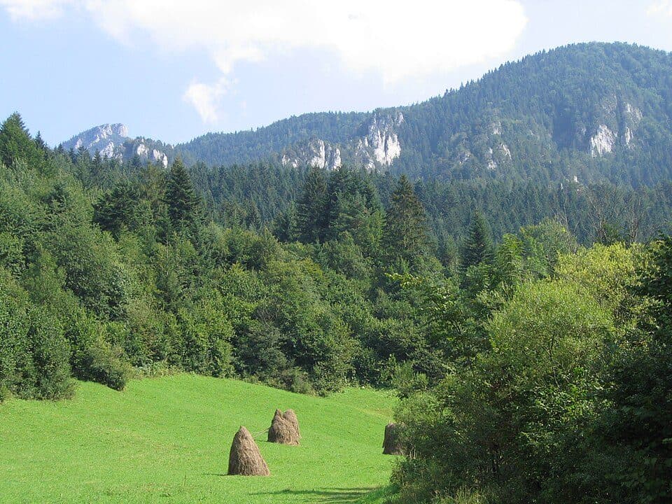 Międzynarodowy Górski Szlak Przyjaźni Eisenach–Budapeszt (Słowacja wschód) — zdjęcie 2