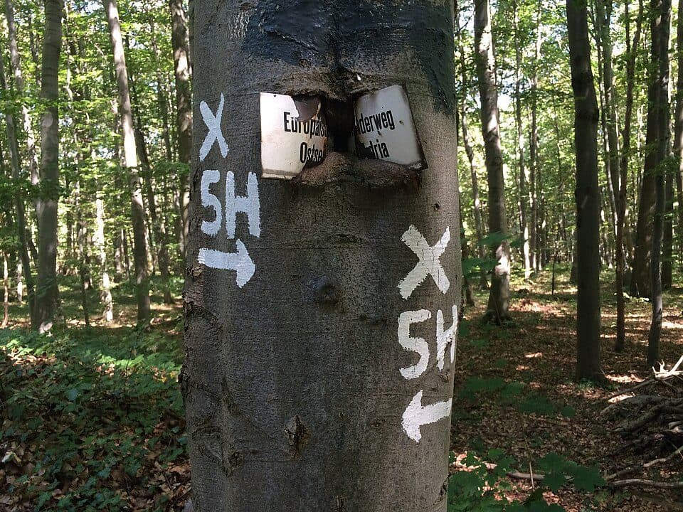 European long distance path E6 - Main route Austria — zdjęcie 2