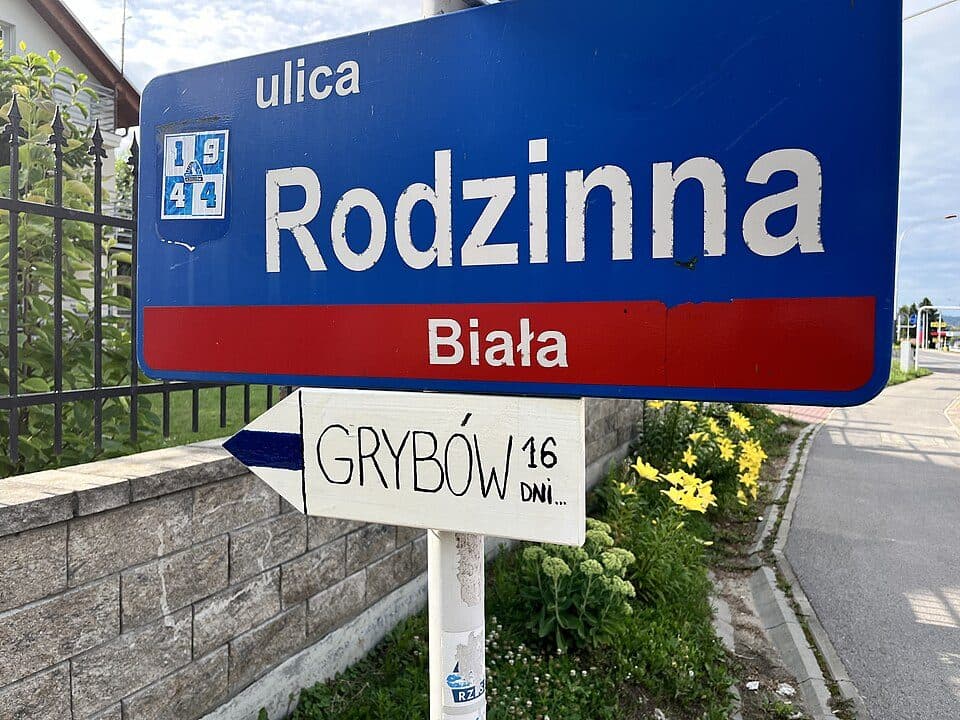 Rzeszów - Grybów