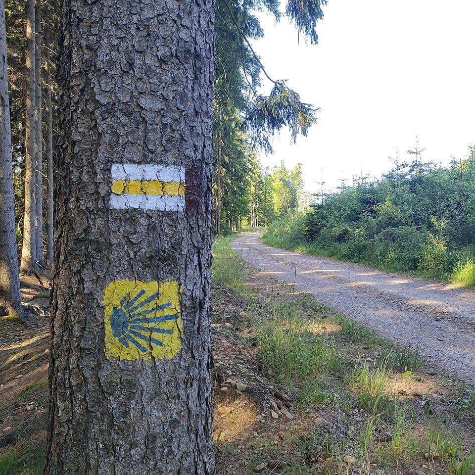 Jakobsweg Vogtland (Etapa 2: Waldkirchen-Treuen) — fotografia 3