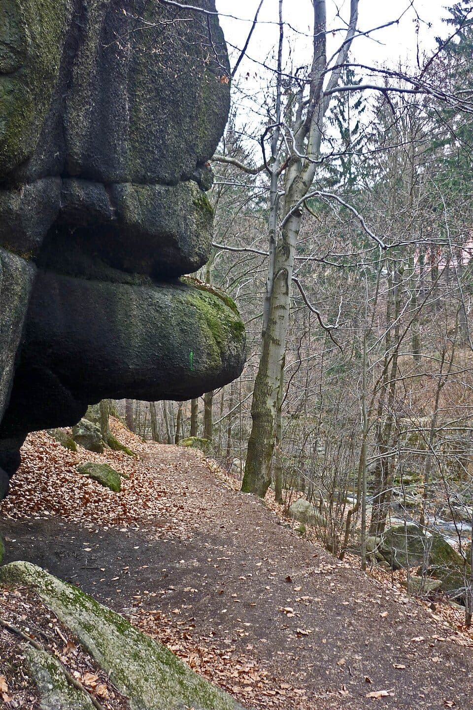 Kammweg Erzgebirge - Vogtland (Est) — fotografie 2