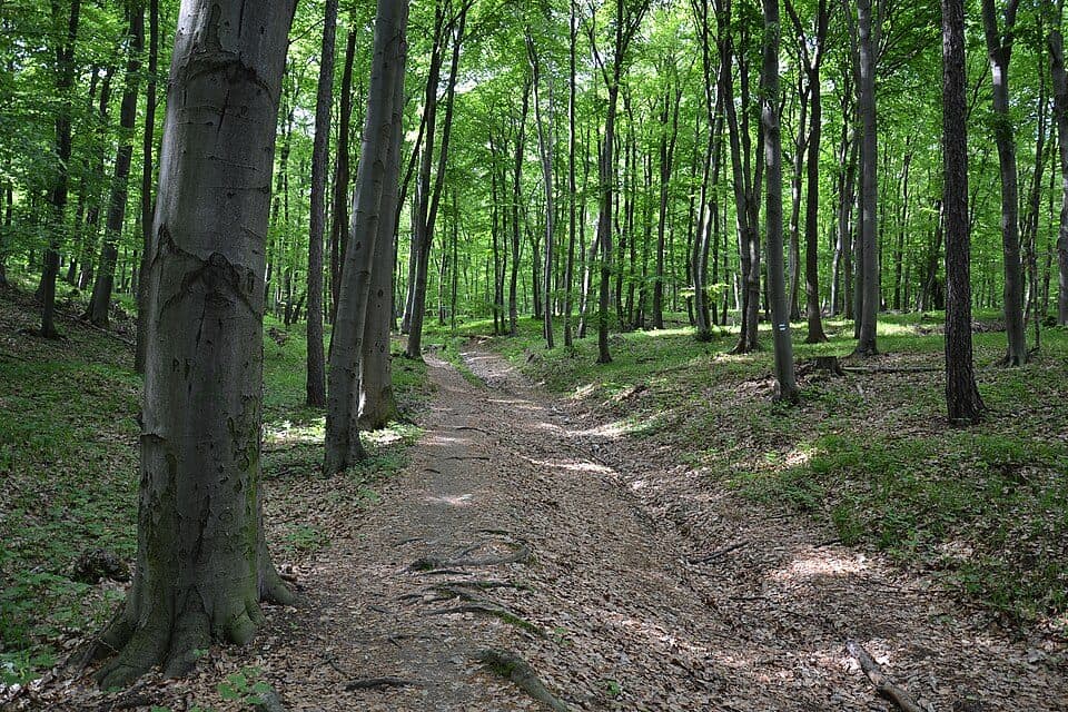 Plavecký Mikuláš - Smolenice, stanica