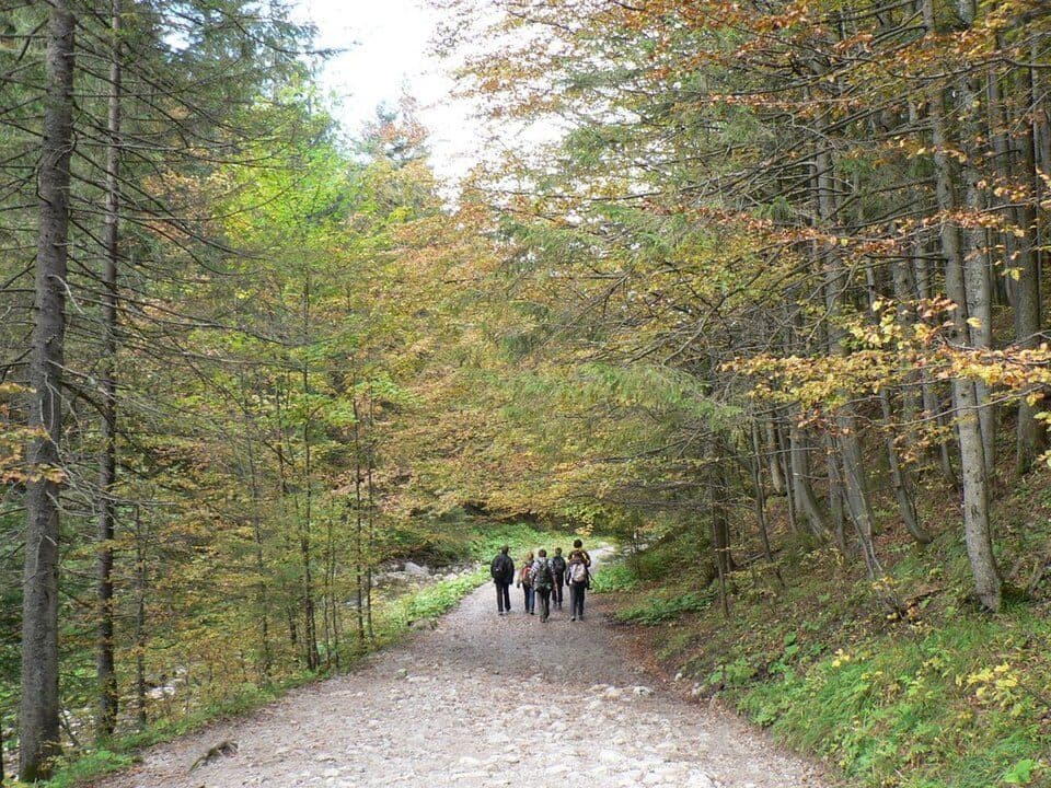 Potok zza Bramki - Dolina za Bramką