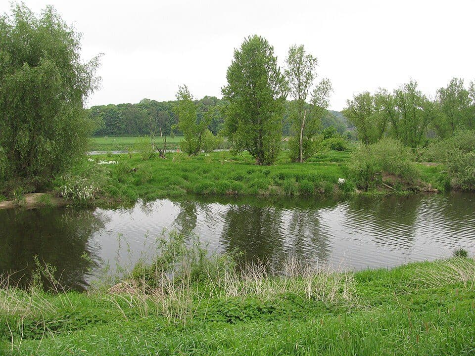 Wyspy łabskie Pillnitz i Gauernitz