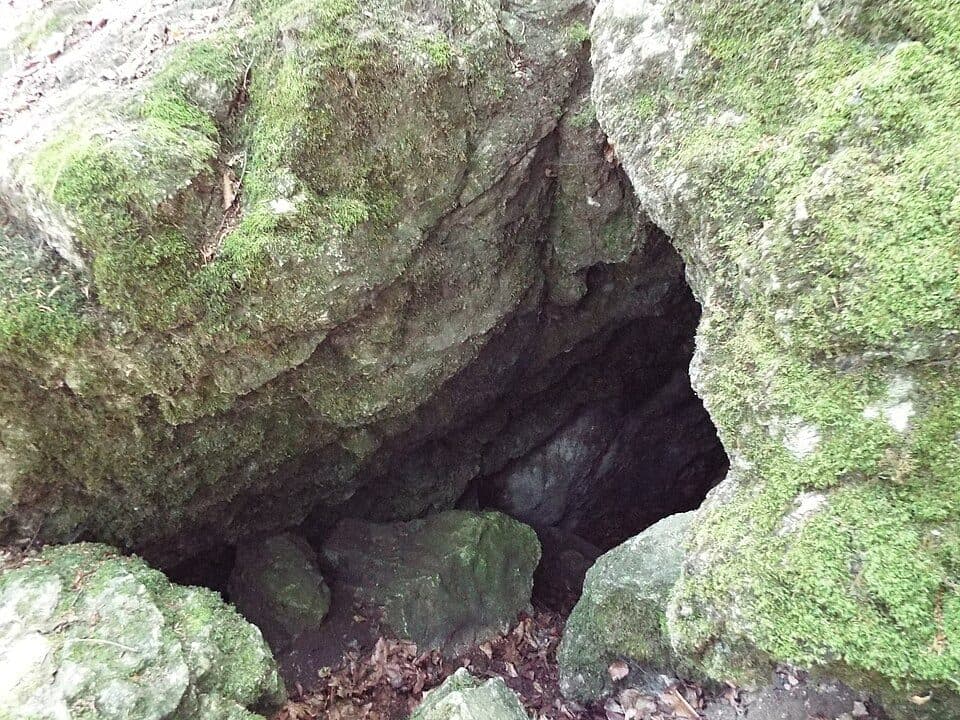 Pénz-lik