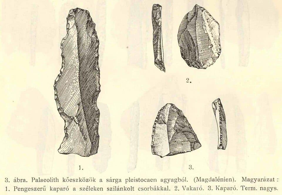 P (Csillaghegy – Dömös)