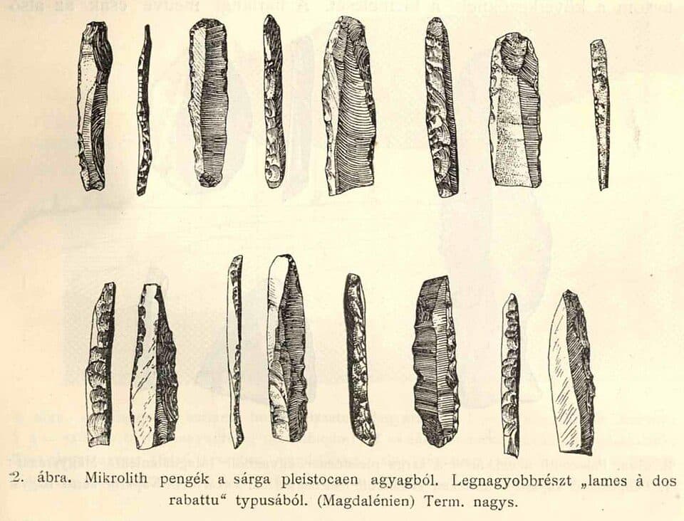 P (Csillaghegy – Dömös)