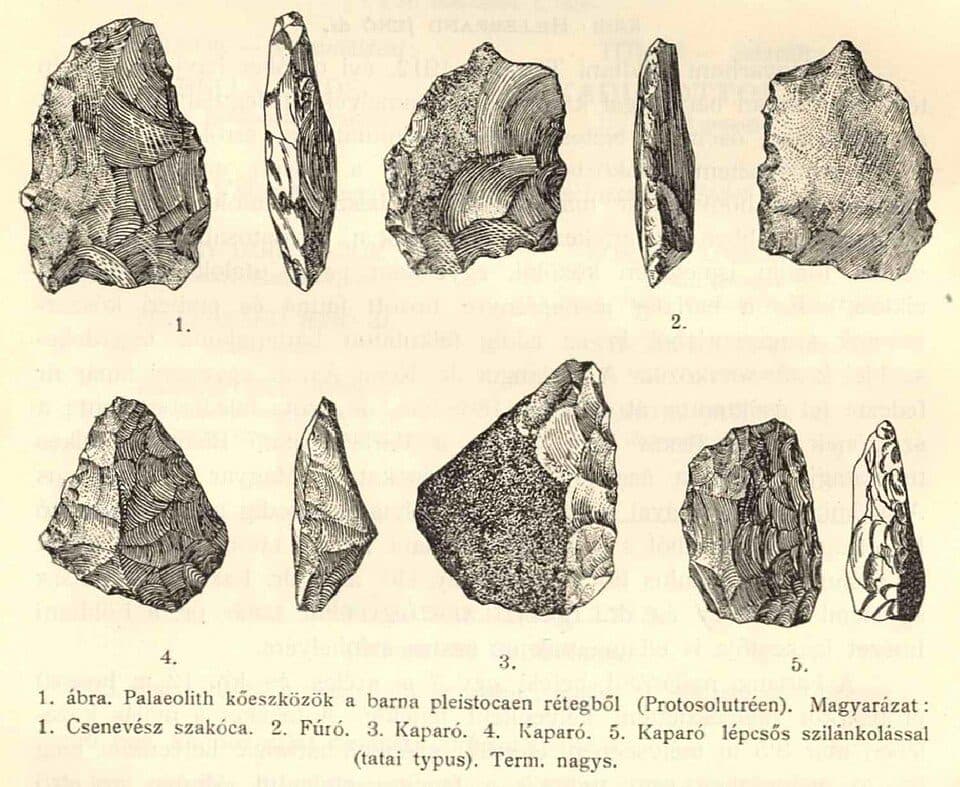 P (Csillaghegy – Dömös)