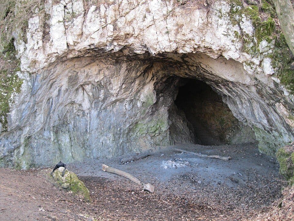 P (Csillaghegy – Dömös)