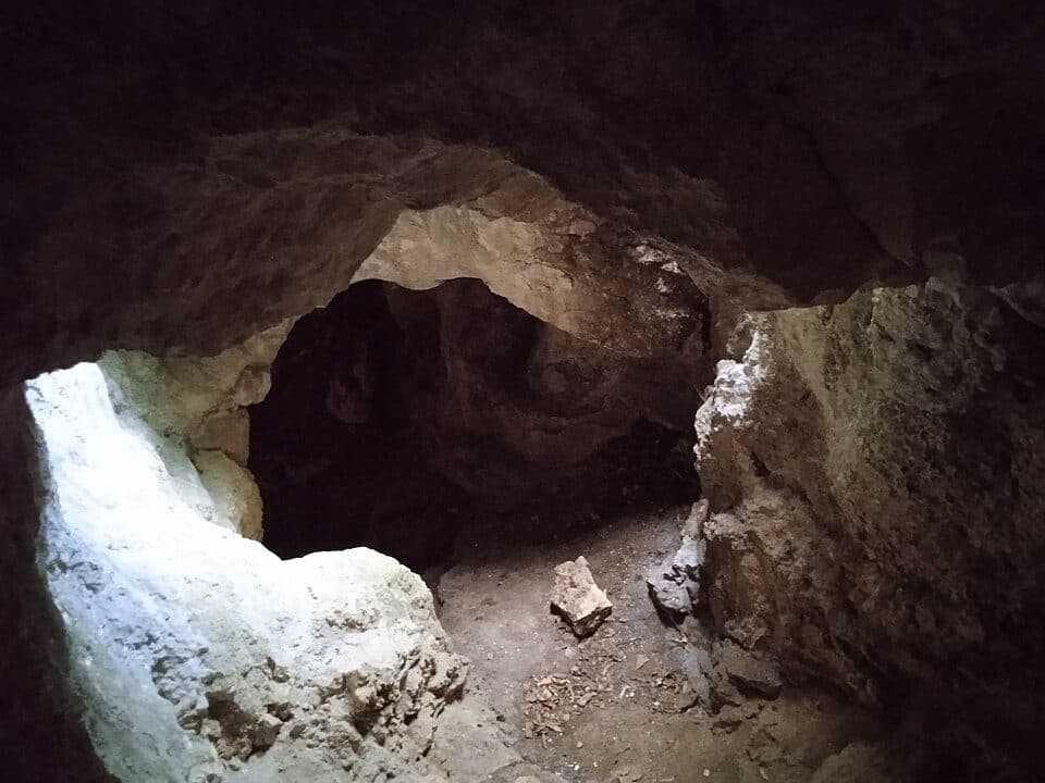 P (Csillaghegy – Dömös)